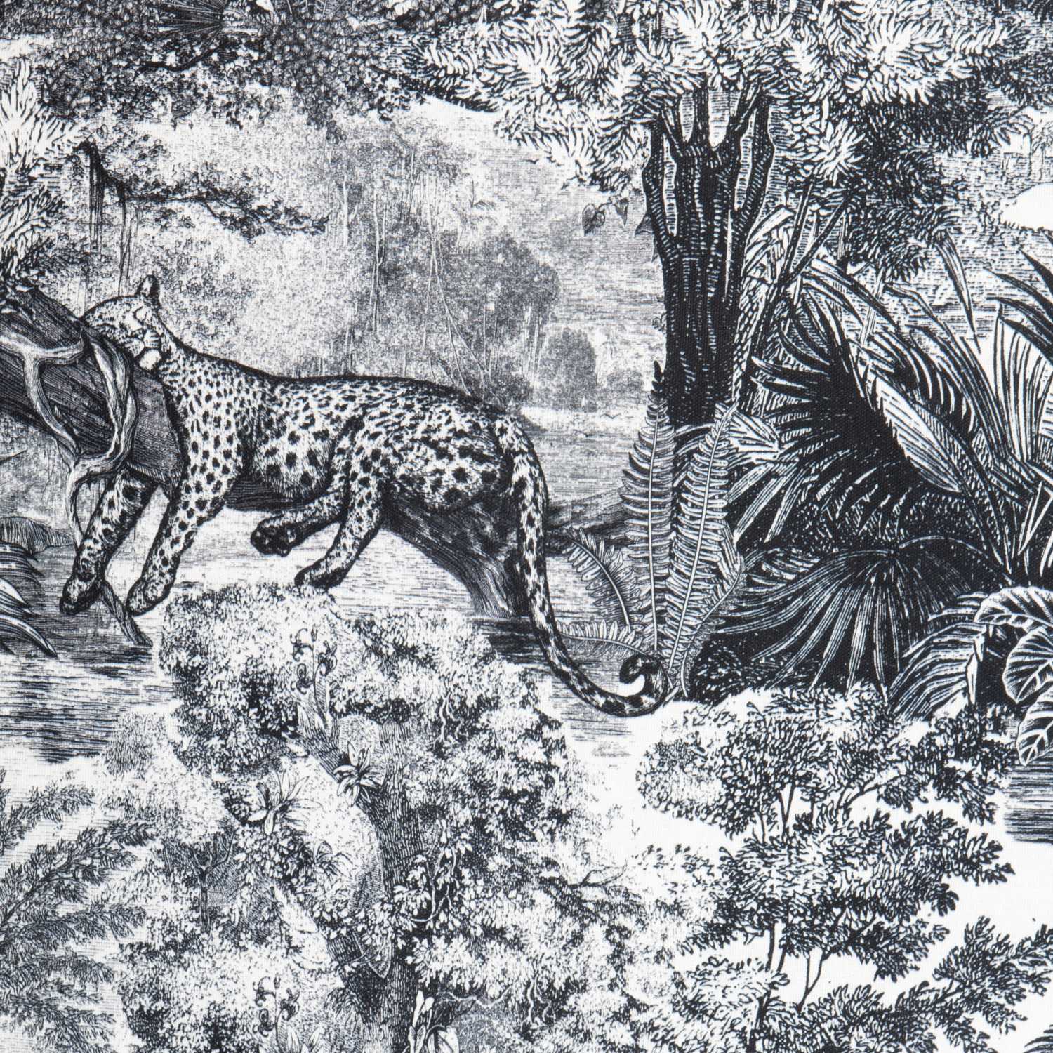 Canvas Baumwolle Afrika Schwarz - Ribes y Casals