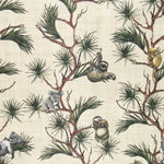 Baumwoll-Leinwand-Koalas - Ribes y Casals
