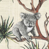 Baumwoll-Leinwand-Koalas - Ribes y Casals