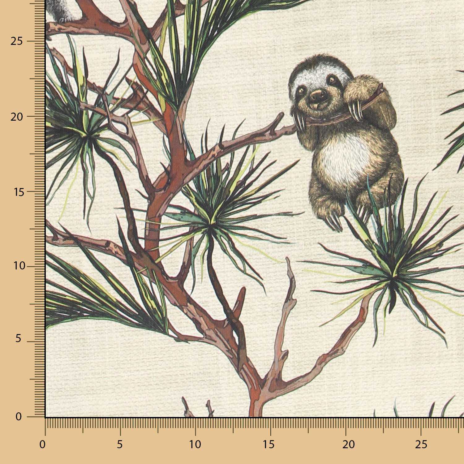 Baumwoll-Leinwand-Koalas - Ribes y Casals