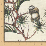 Baumwoll-Leinwand-Koalas - Ribes y Casals
