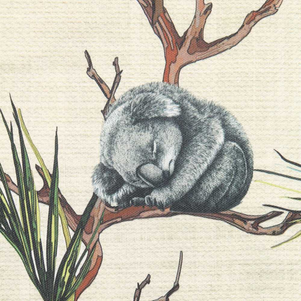 Baumwoll-Leinwand-Koalas - Ribes y Casals