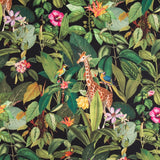 Schwarzes Safari-Baumwollsegeltuch - Ribes y Casals