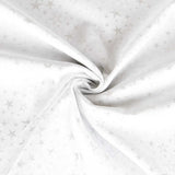 Crhistmas Glitter Silver Canvas - Ribes y Casals