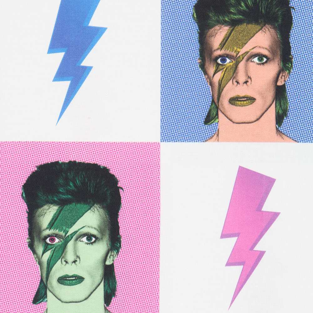 David Bowie Baumwoll-Leinwand - Ribes y Casals