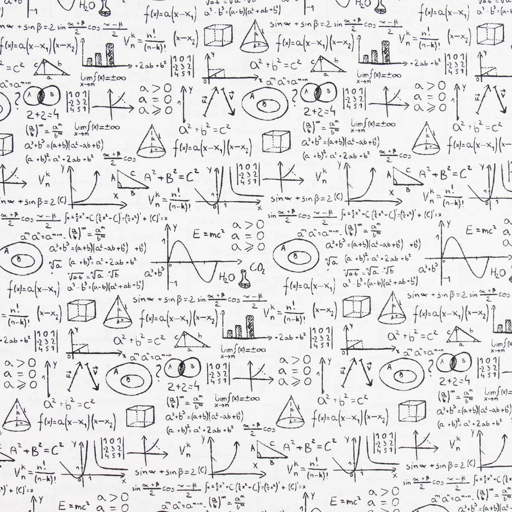 Einstein Canvas Weiß - Ribes y Casals