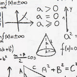 Einstein Canvas Weiß - Ribes y Casals