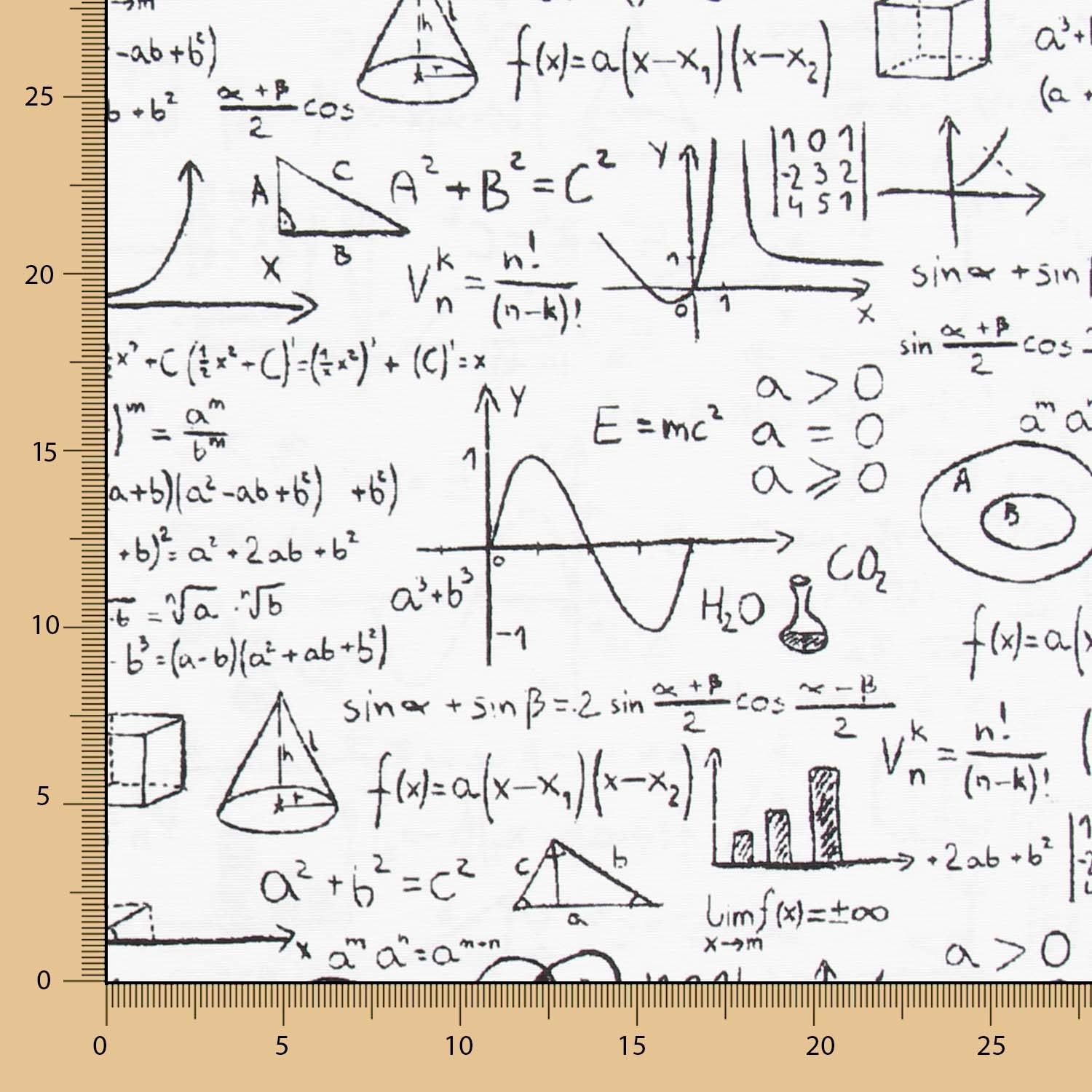 Einstein Canvas Weiß - Ribes y Casals