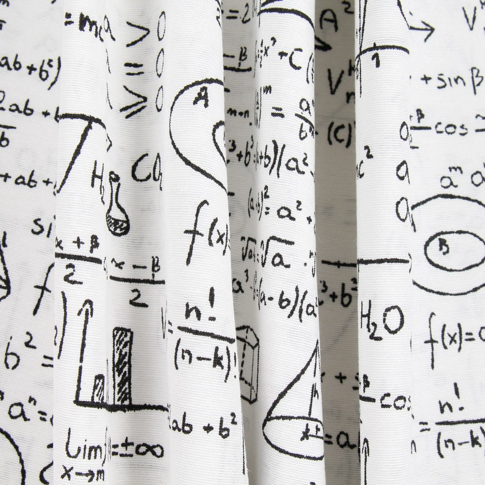 Einstein Canvas Weiß - Ribes y Casals