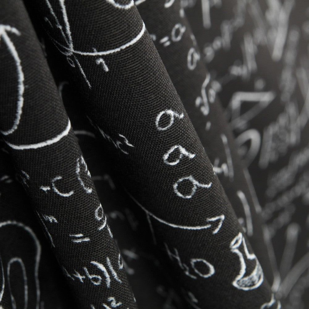 Einstein Canvas Schwarz - Ribes y Casals