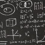 Einstein Canvas Schwarz - Ribes y Casals