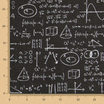 Einstein Canvas Schwarz - Ribes y Casals
