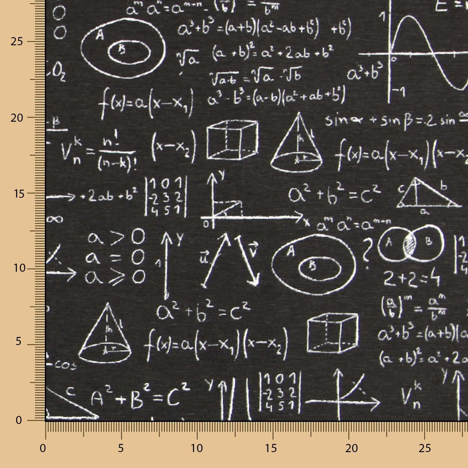 Einstein Canvas Schwarz - Ribes y Casals