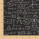 Einstein Canvas Schwarz - Ribes y Casals