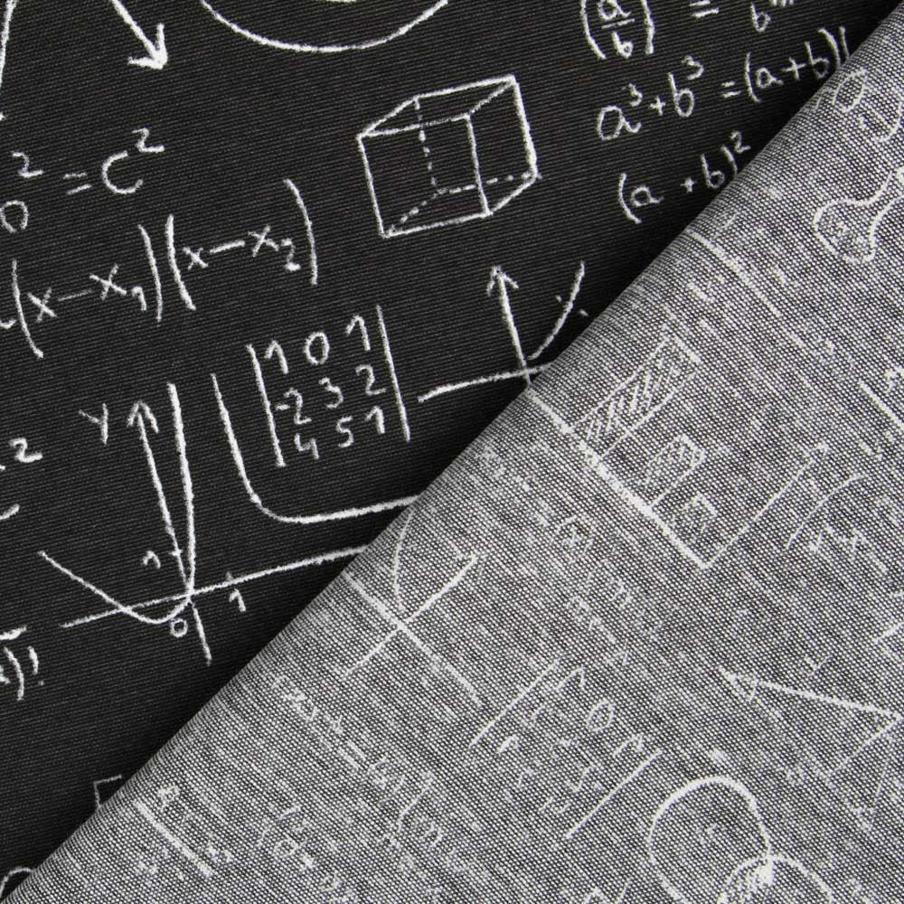 Einstein Canvas Schwarz - Ribes y Casals
