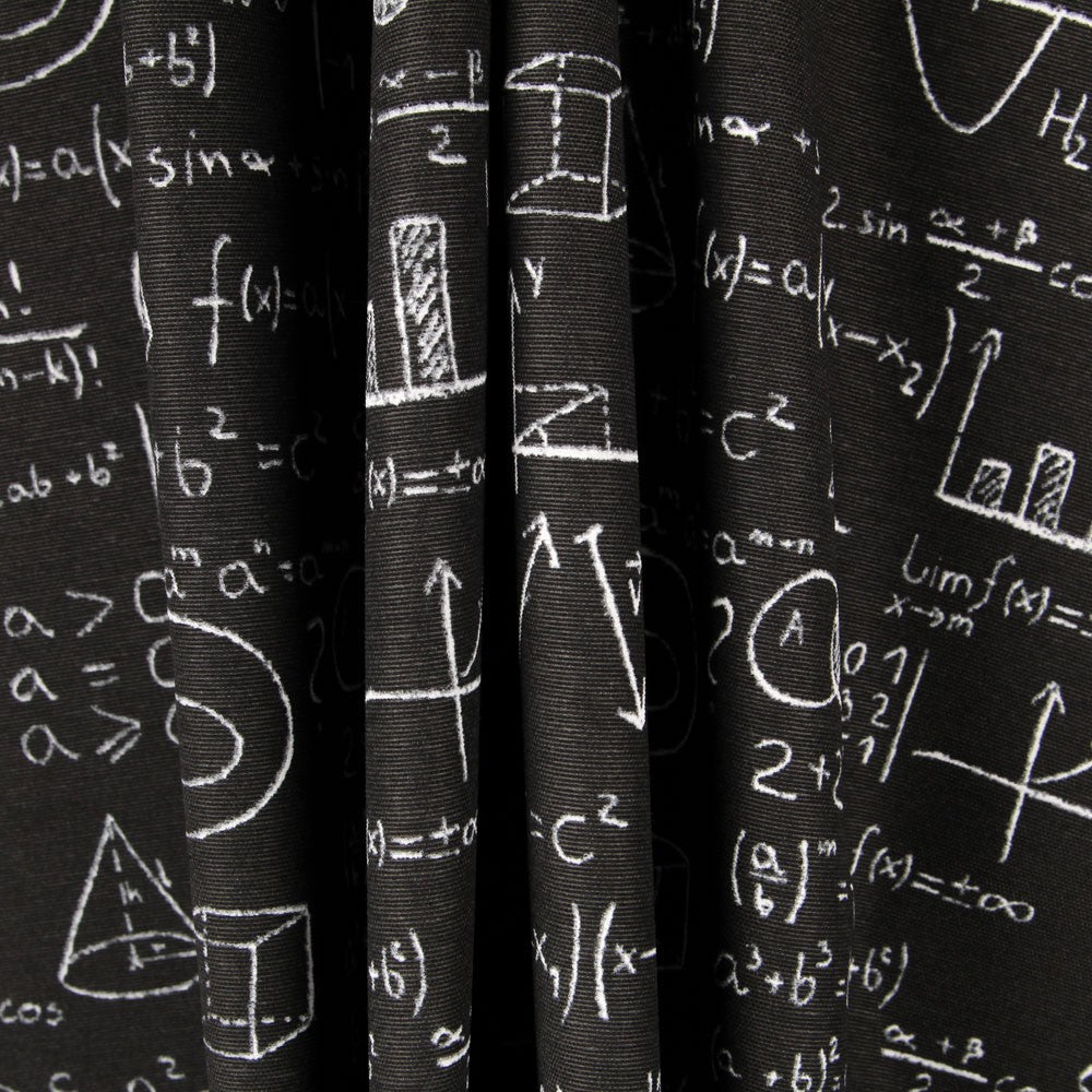 Einstein Canvas Schwarz - Ribes y Casals