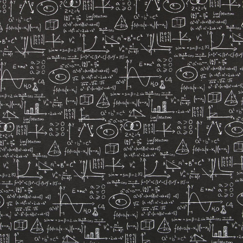 Einstein Canvas Schwarz - Ribes y Casals