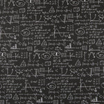 Einstein Canvas Schwarz - Ribes y Casals