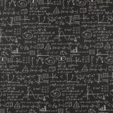 Einstein Canvas Schwarz - Ribes y Casals
