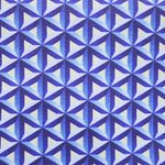 Canvas Sterne Blau - Ribes y Casals