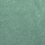 Einfarbiges Canvas Oxford Grün - Ribes y Casals