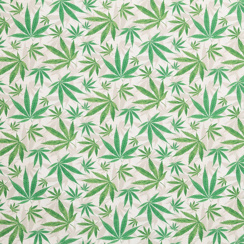 Leinwand Marihuana Grüne Blätter - Ribes y Casals