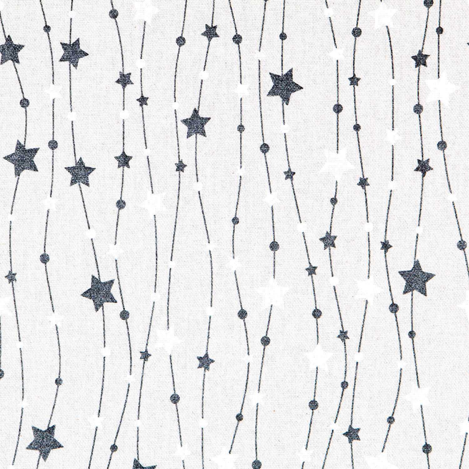 Canvas Weihnachtssterne Schwarz Silber - Ribes y Casals