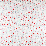 Canvas Weihnachtssterne Rot Silber - Ribes y Casals