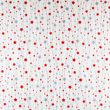 Canvas Weihnachtssterne Rot Silber - Ribes y Casals