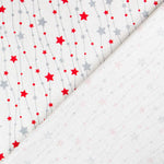 Canvas Weihnachtssterne Rot Silber - Ribes y Casals