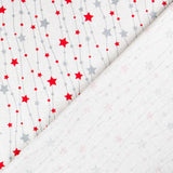 Canvas Weihnachtssterne Rot Silber - Ribes y Casals