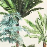 Palm Beach-Leinwand - Ribes y Casals