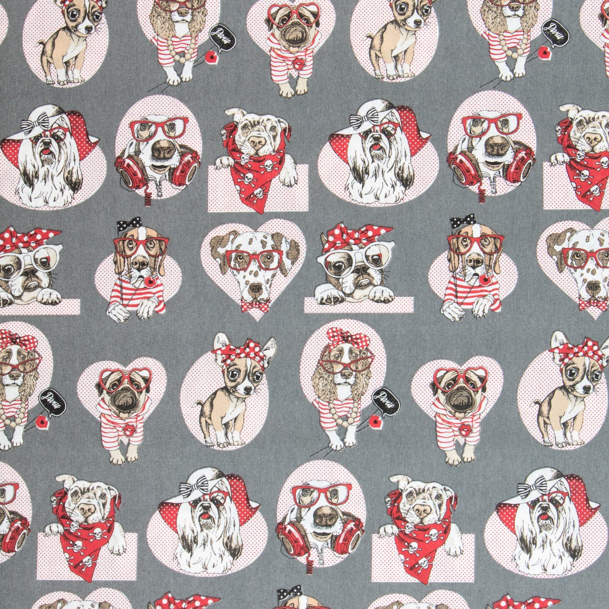 Canvas Doggies Grau - Ribes y Casals