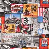 Route 66-Leinwand - Ribes y Casals