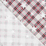Leinwand Sterne Plaid Hintergrund - Ribes y Casals