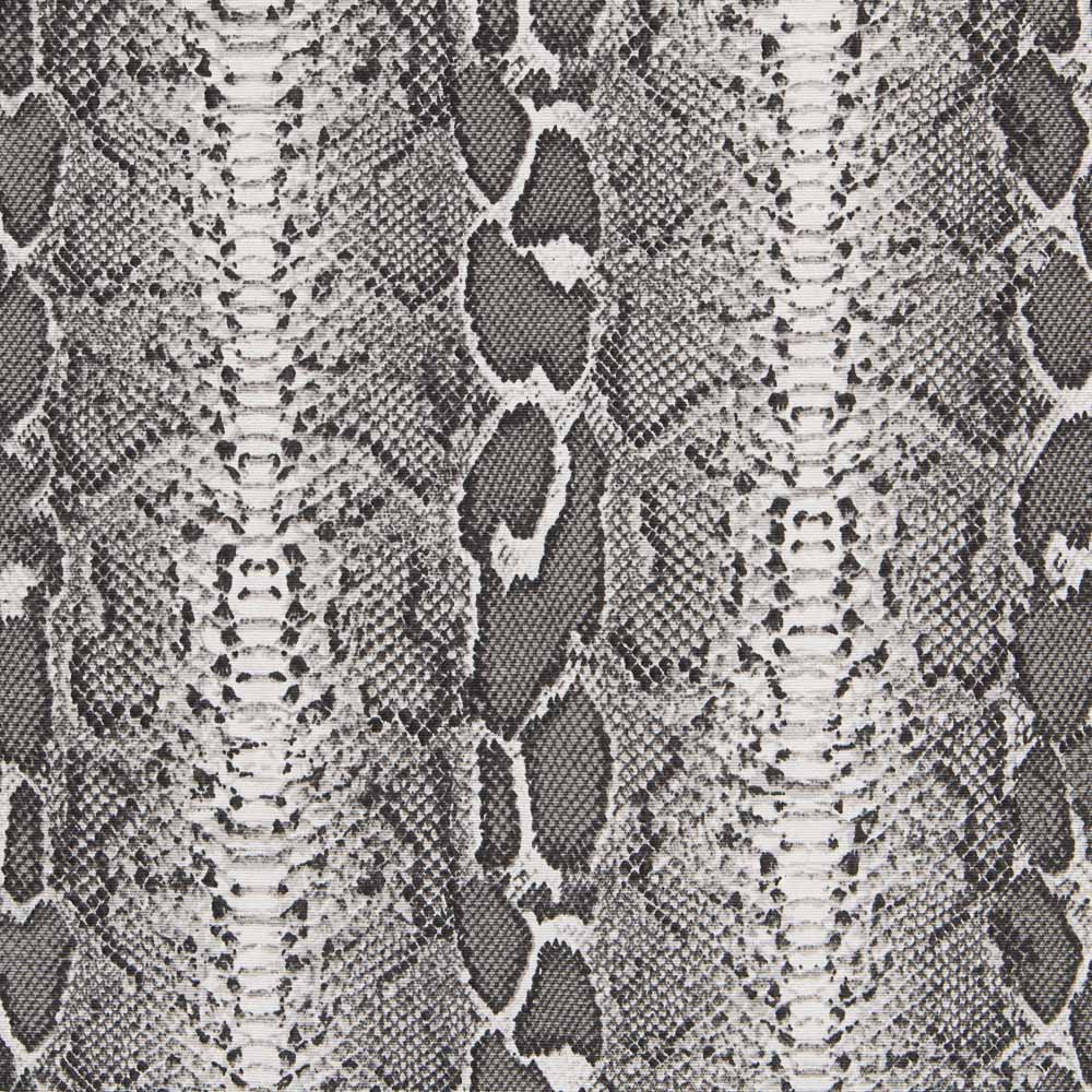 Canvas Tierdruck Grau - Ribes y Casals