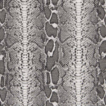 Canvas Tierdruck Grau - Ribes y Casals