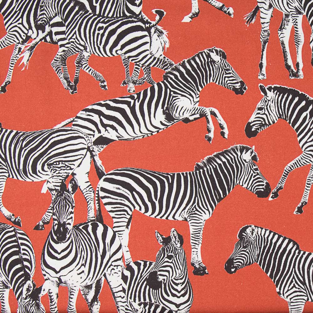 Segeltuch Zebras Wild Rot - Ribes y Casals