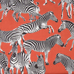 Segeltuch Zebras Wild Rot - Ribes y Casals