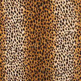 Leopard bedrucktes Segeltuch - Ribes y Casals