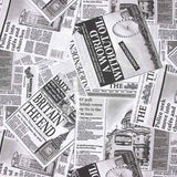 Zeitung bedruckte Leinwand - Ribes y Casals