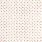 Canvas Sterne Kamel - Ribes y Casals
