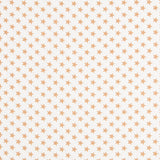 Canvas Sterne Kamel - Ribes y Casals