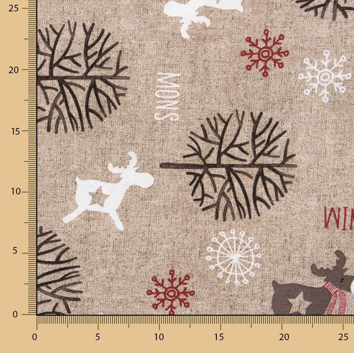Winter Star Weihnachten Leinwand - Ribes y Casals