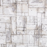 Leinwand Wand Grau - Ribes y Casals