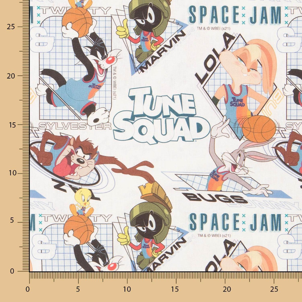 Space Jam-Leinwand - Ribes y Casals