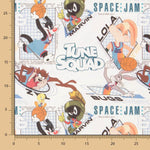 Space Jam-Leinwand - Ribes y Casals