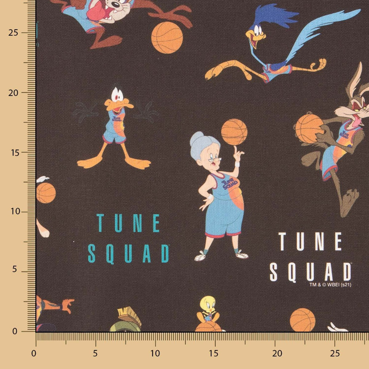 Space Jam Canvas Schwarz - Ribes y Casals