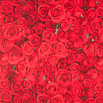 American Beauty-Leinwand - Ribes y Casals