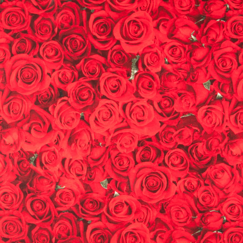 American Beauty-Leinwand - Ribes y Casals